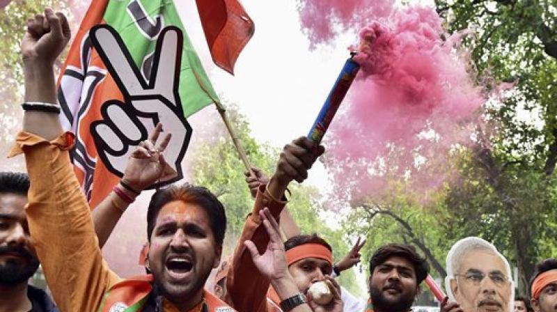 BJP supporters and workers celebrate the partys victory (Photo: PTI)