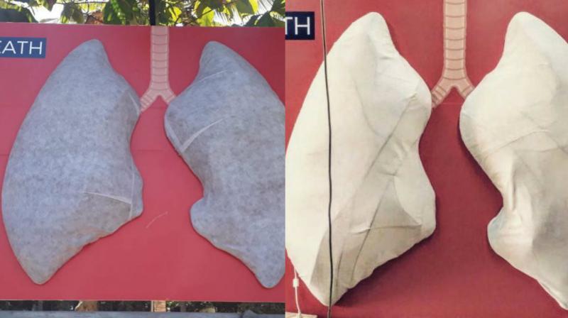 The lung-shaped air quality monitoring instrument kept on Old Madras Road. (Right) The lungs which turned grey within a few days after their installation because of pollution.