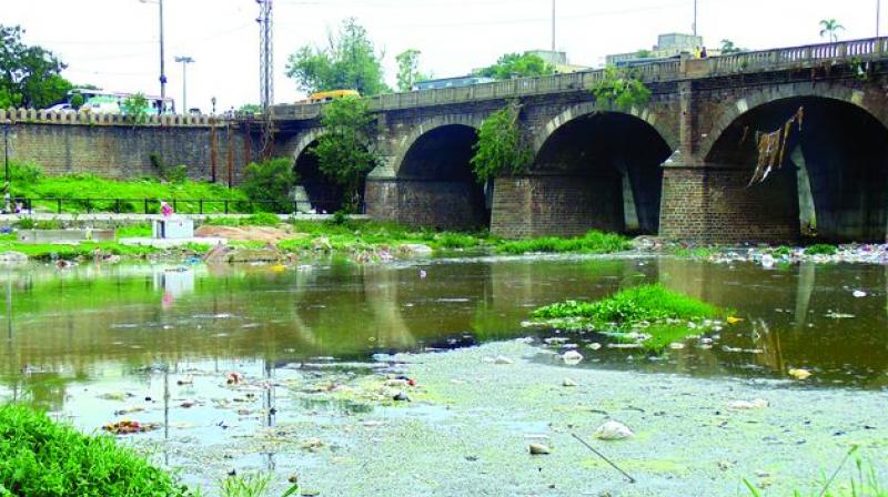 Musi river in Hyderabad. (Photo: DC)