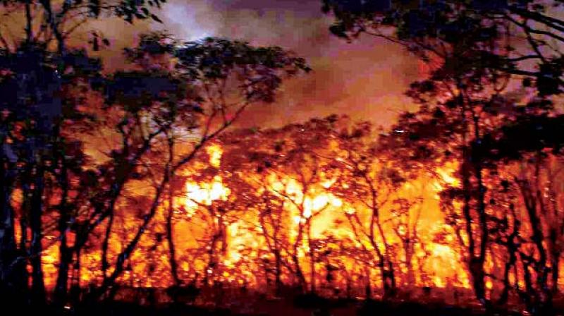 Minister for forests and ecology, Ramanath Rai, told the media after a meeting chaired by the Chief Minister that the leader was upset with forest officers for their lackadaisical attitude in tackling these blazes.