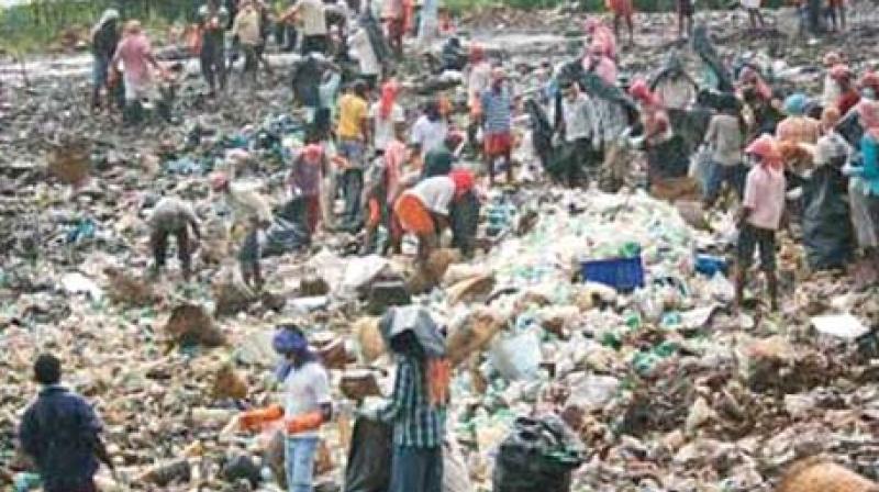 According to the PCB, 20 to 25 tonnes of waste is generated every week during Makaravilakku at Pampa and Sannidhanam.