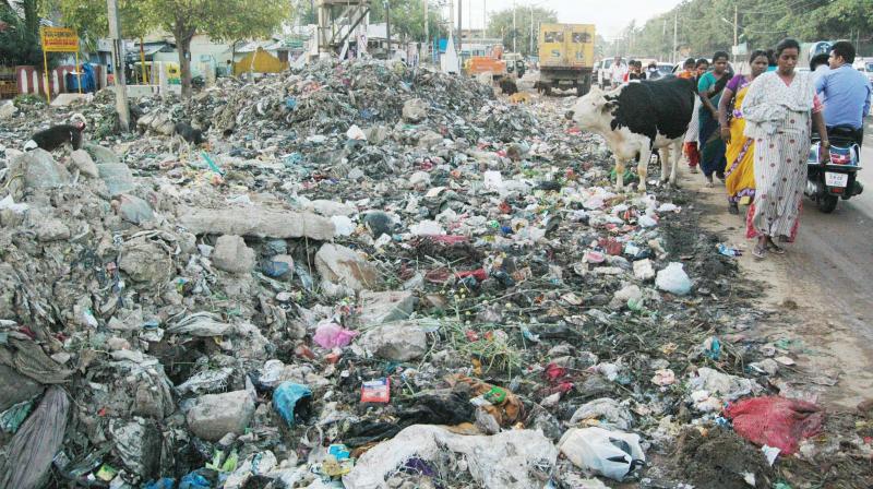Garbage dumped near National Games Village on Ejipura Main Road at Koramangala  (Image: Shashidhar B)