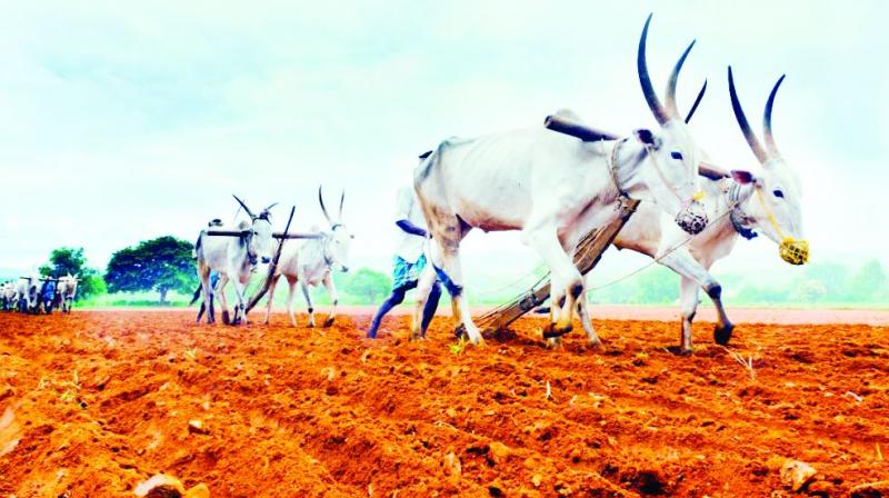 As per data available with the agriculture department, the state has nearly 55 lakh farmers