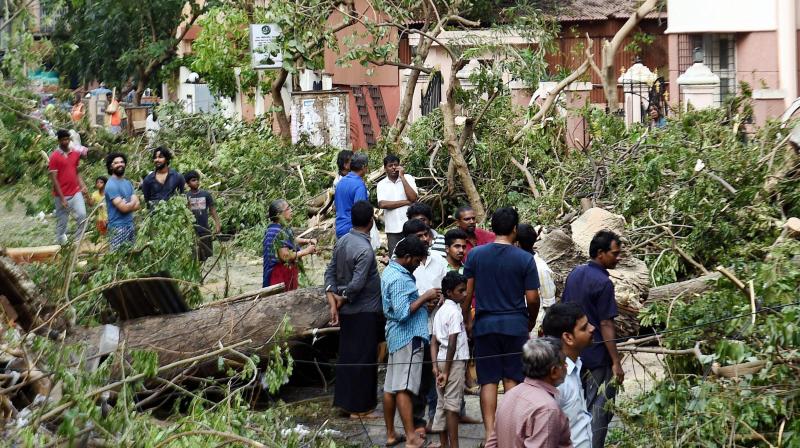 Chennai: Residents looking at the uprooted trees in an area worst hit due to the Cyclone Vardah, in Chennai on Tuesday. (Photo: AP)