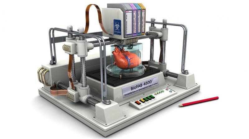 New 3D bioprinter can create functional human skin