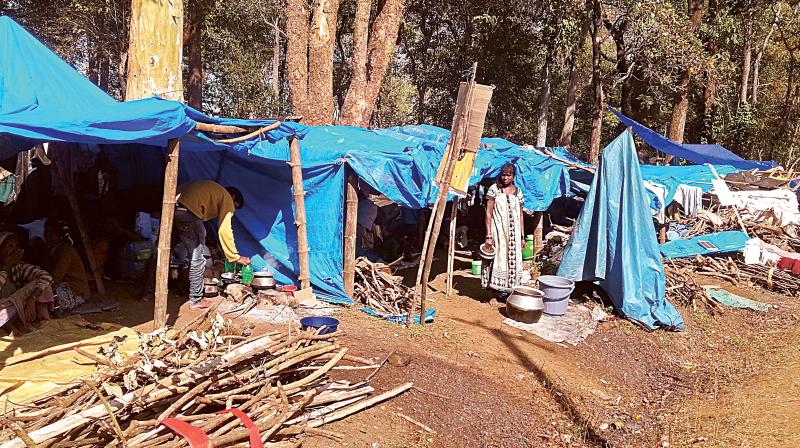 The protesting tribal families camping in Diddalli. Deccan Chronicle was the only publication given access to the area. (Photo: DC)