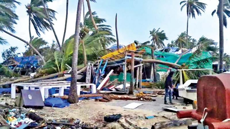 Investigations by the Tamil Nadu state disaster management had revealed that as many as 30 fishermen in 13 boats from coastal Kanyakumari ventured into the sea on November 30.