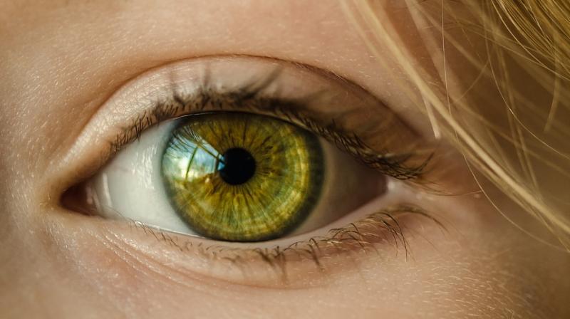 19 genetic markers that could predict risk of debilitating eye disease discovered. (Photo: Pixabay)