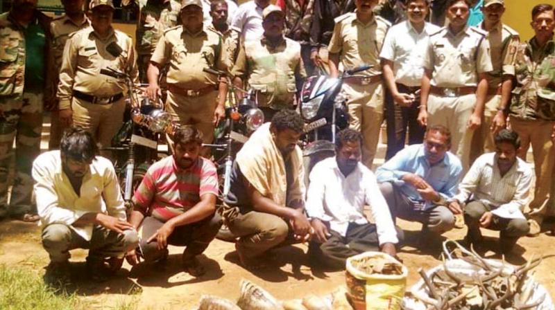 Nabbed poachers and seized wild animal parts in Chikkamagaluru on Monday 	 DC