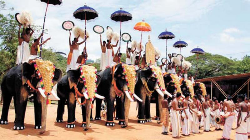 The temple authorities should ensure that the elephants have proper ownership and other documents before the festival begins.