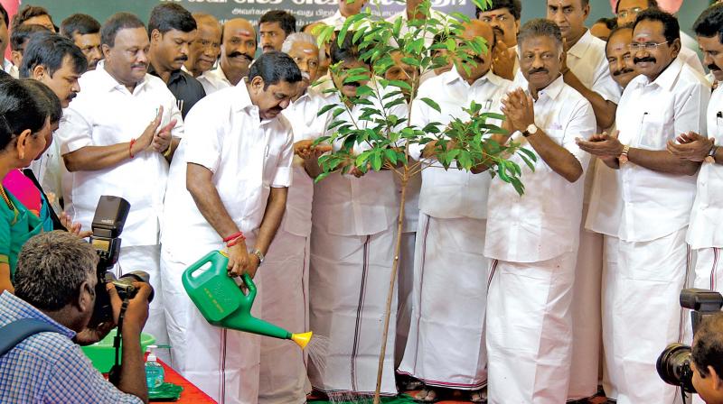 CM waters sapling that he planted on former CM Jayalalithaas 71st birth anniversary in Chennai on Sunday.  Deputy CM O. Panneerselvam and other  ministers look on (Photo: DC)