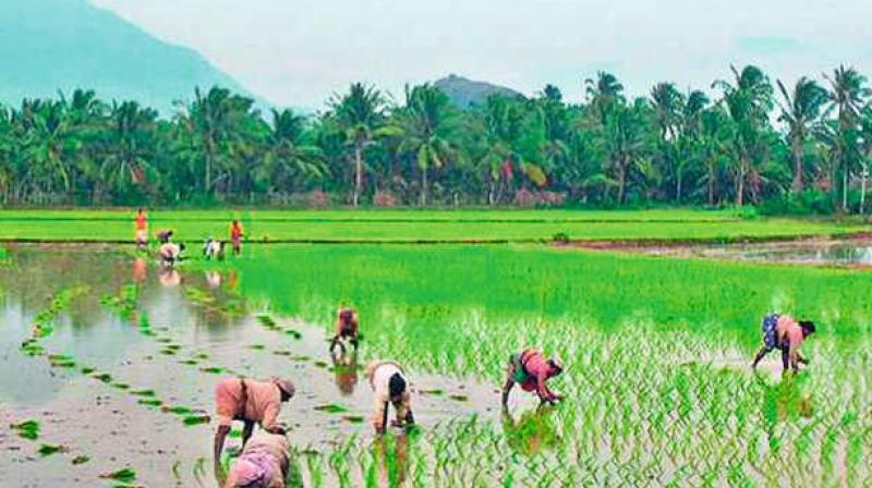 The State government has announced to revive the traditional Kudimaramathu system of encouraging the farmers and locals too, to undertake repair and maintenance of the waterbodies in the respective villages.