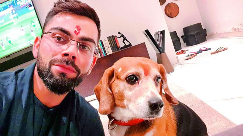 Cricketer Virat Kohli enjoys spending time with Bruno. He says that he loves being lazy at home with his dog.