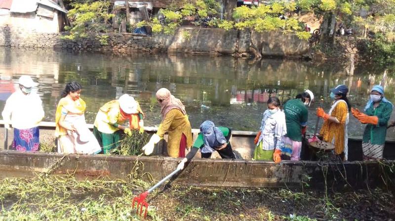 Students of Providence Womens College clean the Mambuzha river. (Photo: DC)