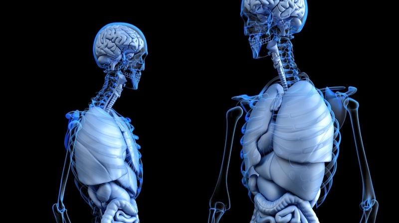 3D printers help doctors make simulated body parts. (Photo: Pixabay)