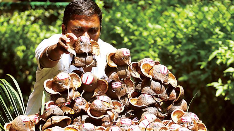 A vendor sells eco-friendly Ganesha idols made out of coconut husks.