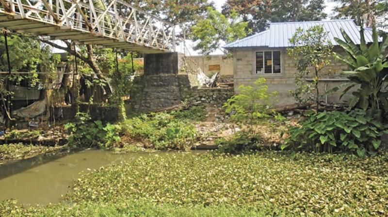 Presently, tenders are floated from time to time for pushing weeds and water hyacinth out to sea.