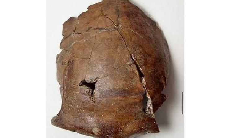 The skull was discovered near the town of Aitape, about 7 miles (12 km) inland from Papua New Guineas northern coast. (Photo credit: Reuters)