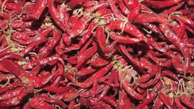 Though ethion is registered in India for use in chilli by the Central Insecticide Board and Registration Committee against yellow mite, a major pest of the crop, the actual extent of usage by chilli farmers in the neighboring states is of serious concern.