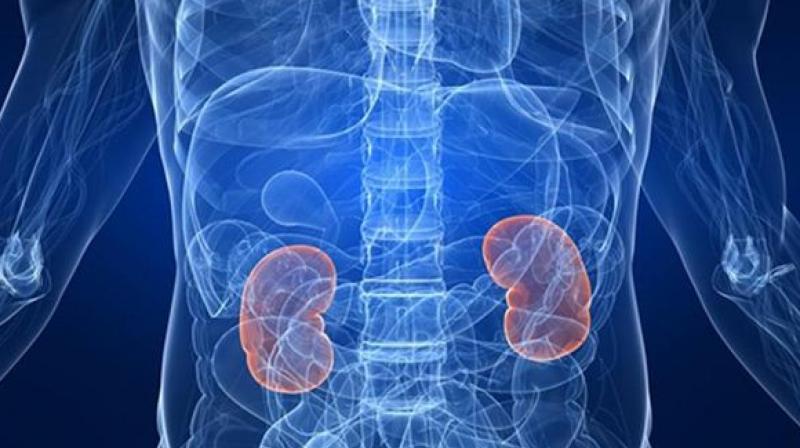 Afflicted with kidney failure for 20 years, Mr More, from Wadala, failed to retain his kidney functions after both his organs stopped working. (Representational image)