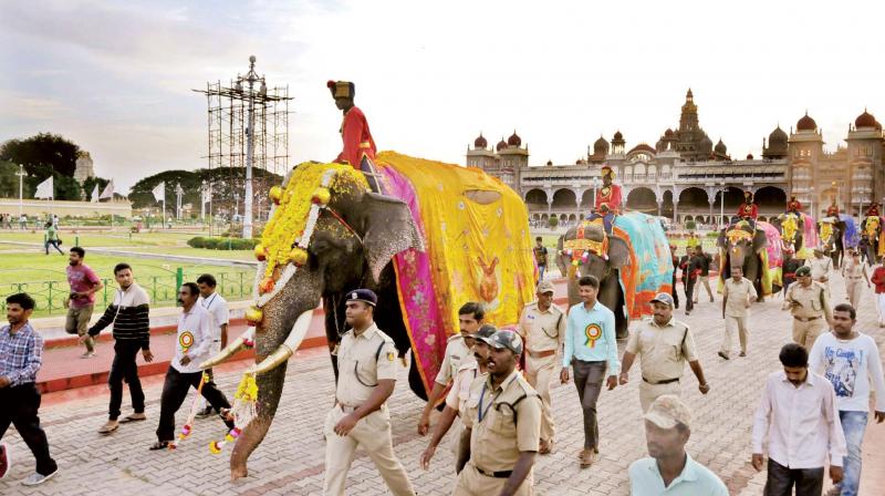 The first batch of six Dasara elephants which arrived in city, housed at Aranya Bhavan gets warm welcome to the Mysore Palace with traditional puja, in Mysuru on Wednesday. (Photo:KPN)