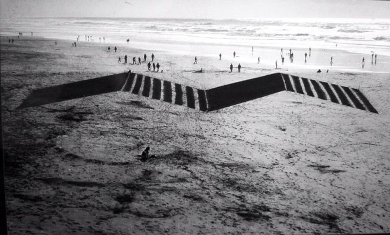 Sand artist creates breathtaking designs that can only be understood aerially