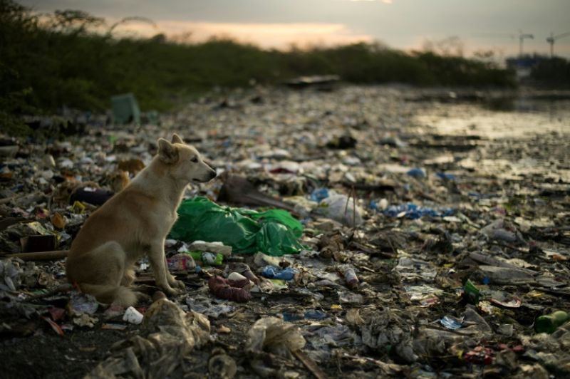 World Environment Day: Is our planet drowning in plastic?
